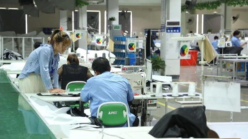 厲害了！湖州新增一中國馳名商標，網絡技術研發實力再獲認可